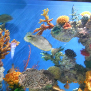 фото_3299